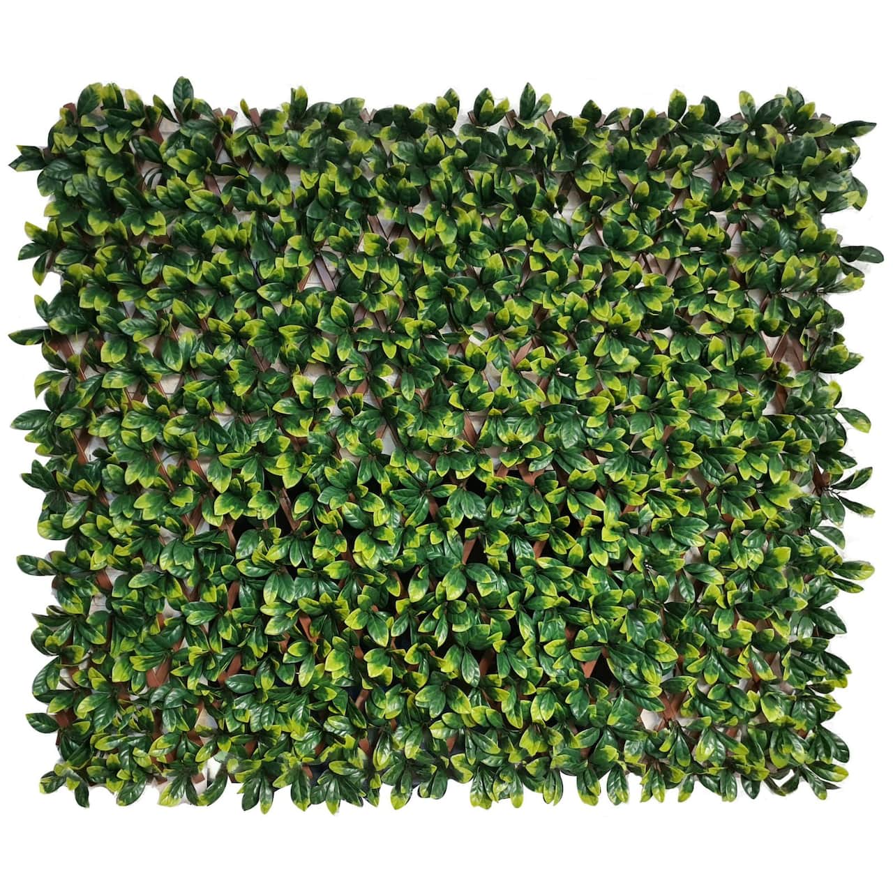 4ft. Expandable Lemon Leaf Lattice Screen